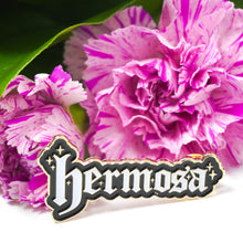 Load image into Gallery viewer, Hermosa Pin