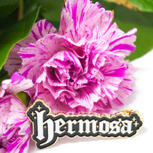 Load image into Gallery viewer, Hermosa Pin