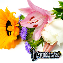 Load image into Gallery viewer, Hermosa 3" Sticker