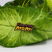 Load image into Gallery viewer, Flamin Hot Mami Pin