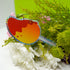 products/DSC00252.jpg