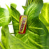 products/image_6ab8c700-1350-49b1-ad5b-390f2de9b2c3.jpg