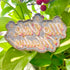products/image_cfe90569-b836-447f-b76d-9669e7881e6f.jpg